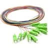 QOLTEC 54362 Qoltec Optic Pigtail 12x SC/APC | SM | 9/125 | 0,9 mm | G657A | 2 m