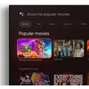 Vaizdo grotuvas Google TV Streamer JAV