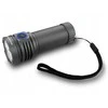 „EverActive FL-3300R Luminator“