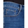 Džinsiniai šortai X Jeans Basic