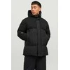 Žieminė striukė JACK &amp;amp; JONES