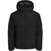 Žieminė striukė Jack &amp;amp; Jones