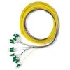 Qoltec 12 x LC/APC šviesolaidinė košė | Vienmodis | G652D | 2 m