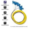 Qoltec 12 x SC/UPC šviesolaidinė košė | Vienmodis | G657A2 | 2 m