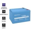 QOLTEC 53701 LiFePO4 ličio geležies fosfato baterija / 12,8V / 12Ah / 153,6Wh / BMS