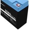 QOLTEC 53703 LiFePO4 ličio geležies fosfato baterija / 12.8V / 30Ah / 384Wh / BMS