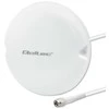 Antenos 5g lte lubinės 5dbi 50w vidaus Qoltec
