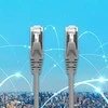 Tinklo laidas Kabelis sujungimo ftp cat5e 2 x rj-45 5 m didelės spartos auksinis ekranuotas Qoltec