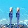 Tinklo laidas Kabelis sujungimo ftp cat6 2 x rj-45 5 m didelės spartos auksinis ekranuotas Qoltec
