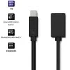 Qoltec USB 3.1 tipo C kištukinis kabelis | USB 3.0 A moteriškas | 0,25 m