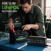 Qoltec Specjalistyczna kroviklis do akumulatora LiFePO4 12V | 30A | PF 0.9 | LED | Inteligentne ładowanie