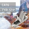 Kištukas rj45 be įrankių stp cat6 lizdas kaištis t568b t568a Qoltec