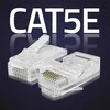 Qoltec Plug modulinė jungtis RJ45 | CAT5e | UTP | Paauksuoti kontaktai | 10 vnt