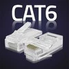 Qoltec RJ45 modulinės jungties kištukas | CAT6 | UTP | Auksuoti kontaktai | 10 vnt