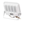 50W LED prožektorius, baltas, 6500K, CREE LED chip