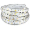 6W/m LED juosta, 30LED/m, 6500K, IP65, 5 metrų ritė
