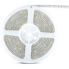 6W/m LED juosta, 30LED/m, 6500K, IP65, 5 metrų ritė