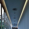 8W/m LED juosta, 4000K, 120 LED/m, 24V, IP20, 20m ritė
