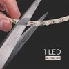 V-tac 16,5W/m LED juosta, 48LED/m, 24V, 6500K, 5m ritė