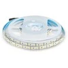 V-tac 20W/m LED juosta, 120LED/m, 6500K, IP20, 5 metrų ritė