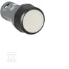 ABB CP1-10W-10-ĮGALVOTAS MYGTUKAS 1 NĖRA BALTO