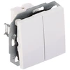DVIGUBAS LAIPTŲ JUNGIKLIS SANTRA/4118-10/EPN 250 V 10 A Elektro-Plast