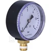 Afriso RF63 VERTIKALUS MANOMETRAS 1/4" 0-6BAR