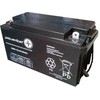 Akumuliatorius AGM Powerbat 12V 65Ah