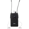 Antec DNA IN-EAR BELTPACK diržo imtuvo belaidis korpusas