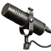 Carruzzo Aston Microphones Stealth Broadcast Microphone