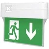 AWEX N rodyklė LED avarinis korpusas 1W 1h dvigubos paskirties + PU31 PU41 balta (ARN / 1W / CSA / X / WH)