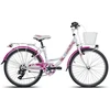 Bicycle DVIRATIS MTB 24 18G MERGAIČIŲ PLIENINIS