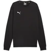 Bluza vyriška Puma Team Goal Casuals Crew Neck Sweat juoda 658592 03 (XL)