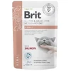 Brit VD Renal Cat Pouch 12x85g
