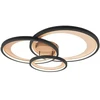 Lubinis šviestuvas CEILING LAMP TRIO GRANADA Matinis Juodas/GOL