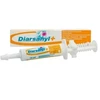 CEVA Diarsanyl Plus viduriavimo pasta - papildai šunims ir katėms - 10 ml