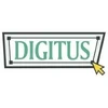Digitus „Dynamic-N“ serijos prie sienos montuojamas korpusas – 600 x 450 mm (P x G), nesurinktas
