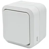 Duwi 60221 Aqua Pro IP55 ant paviršiaus montuojamas 2 polių dvigubas jungiklis baltas 60221