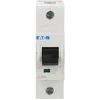 Eaton 174492 Grandinės pertraukiklis 1P D 40A 25kA AC AZ-D40 174492