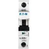 Eaton 278537 Grandinės pertraukiklis 1P B 25A 15kA AC FAZ B25/1 278537