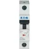 Eaton FAZ-C16 / 1 1P C 16A 15kA AC - 278561