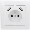 Elektro Plast Nasielsk Elektro-Plast SentiA Vieno lizdo su 16A USB 2x2.1A 5VDC su apertūra ir baltu rėmeliu GPT 2P + Z 2xUSB (1488-00)