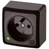 Elektro Plast Nasielsk Elektro-Plast BERG Vienvietis n/t lizdas 2P+Z 16A ruda 3733-05