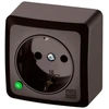 Elektro Plast Nasielsk Elektro-Plast BERG Vienvietis schuko lizdas n/t 2P+Z 16A ruda 3737-05