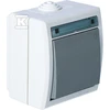 Elektro Plast Nasielsk LIGHT JUNGTIS N/T IP55 AQUANT BALL