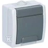 Elektro Plast Nasielsk GN.2P+Z N/T IP55 SZARE AQUANT