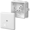 Elektro Plast Nasielsk PUSZ.N/T 6-OFF SU Įdėklu SU AUSAIS IP55 2X2.