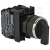 Emas 2 padėčių rankenėlės mygtukas 2R stabilus (T0-B101S30)