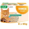 IAMS DELIGHTS „Land & Sea“ kolekcija želė dėžutėje – šlapias kačių ėdalas – 8 x 85 g