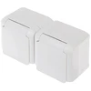 LIZDAS MONTUOJAMAS ANT PAVIRŠIAUS DVIGUBAS LE-782377 FORIX 230 V 16 A IP44 LEGRAND